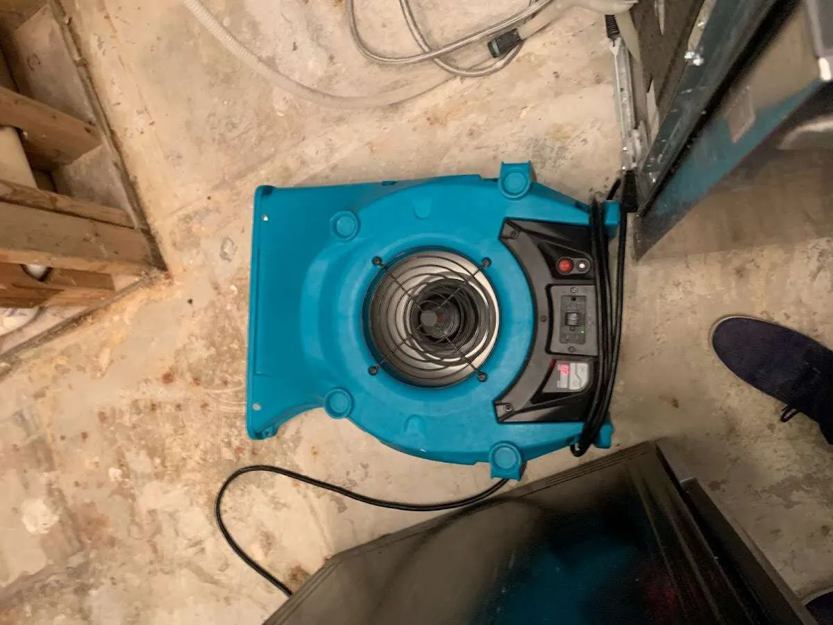 Air mover drying equipment for Mold Remediation & Removal in Silver Lake